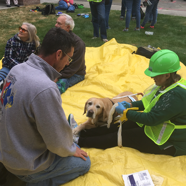 woman with safety helmet and service dog sit on tarp