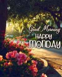 Good Morning - Happy Monday!