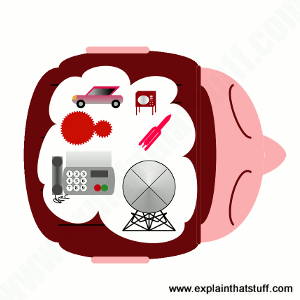 A human head viewed from above with lots of inventions packed inside