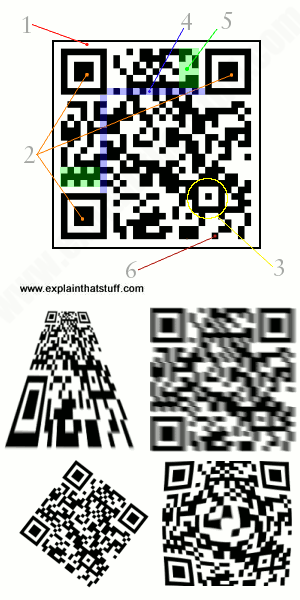 A labelled diagram showing the key features of QR codes, including the finder, timing, and alignment patterns and data cells.