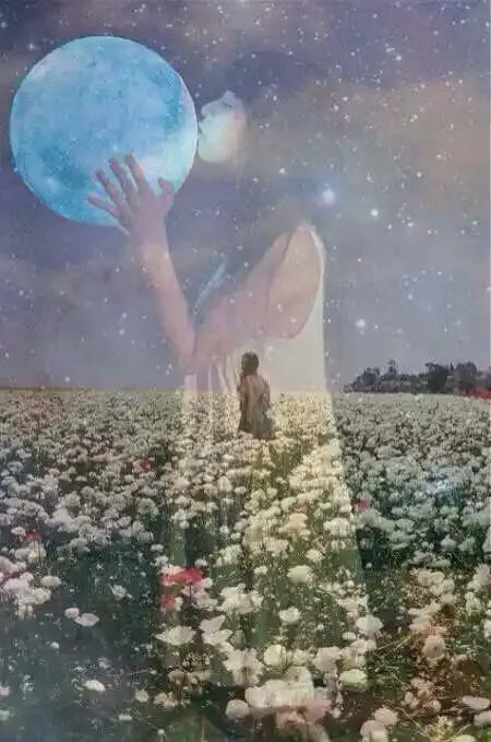 遇见最美的自己 遇见最美的自己