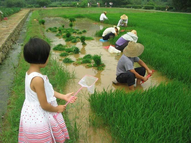 林花谢了春红，太匆匆…-尘遇