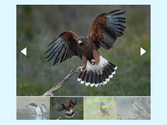 Slideshow JavaScript with Buttons