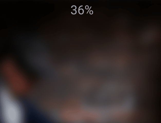 Image Loading Animation in JavaScript