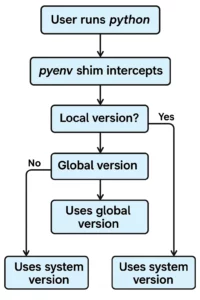 a simple flowchart illustrating how python version managers like pyenv selects/uses a specific version