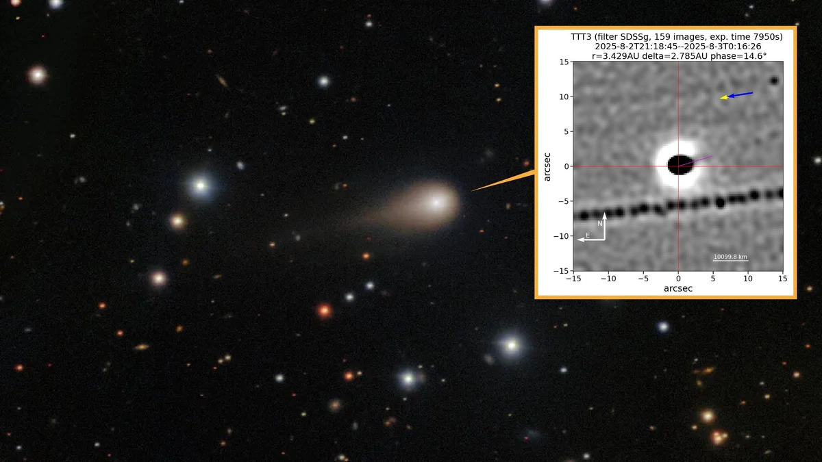 The Comet's Curious Case