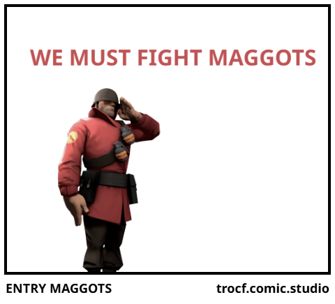ENTRY MAGGOTS