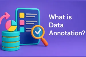 Data Annotation Guide | Types, Benefits & Challenges