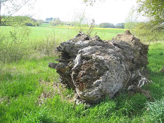 Invitation, appel - Association CONVIVE pour un environnement COnstruit VIvant et VErt