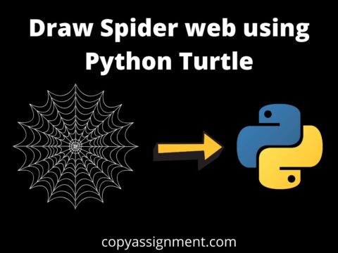Draw Spider web using Python Turtle