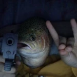The Big Trout