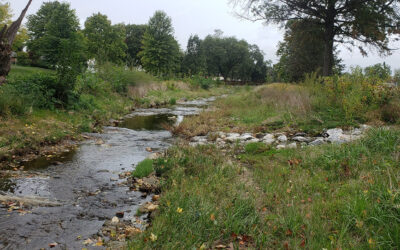 Memorial Park – Poorhouse Run Stream Restoration