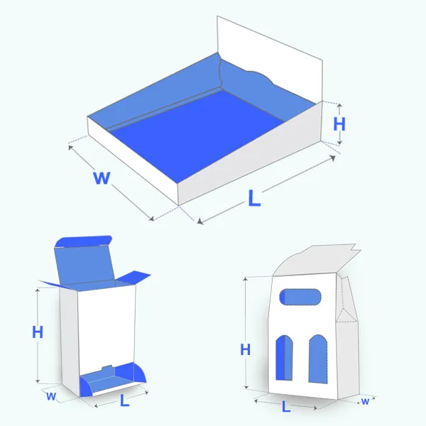 showcase exhibit boxes