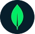 MongoDB database logo — flexible document storage for school data