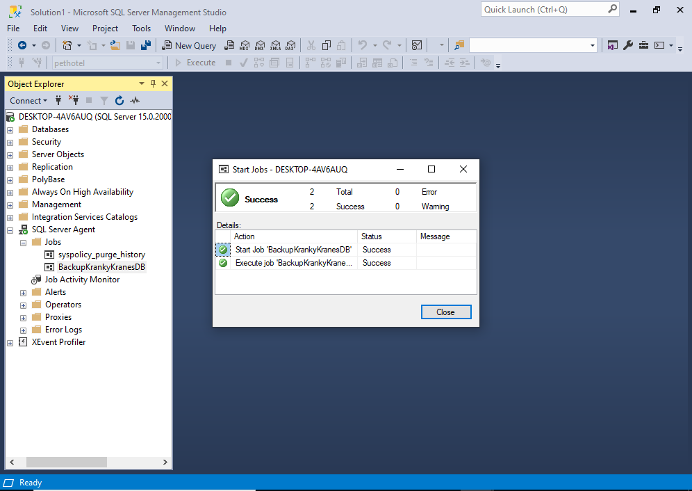 Screenshot of the Success dialog screen