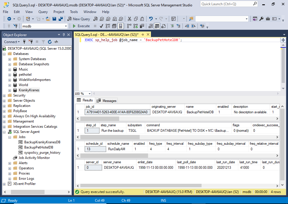 Screenshot of the results of sp_help_job returning information about a specific job.