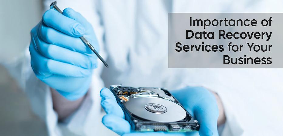 Importance of Data Recovery Services for Your Business