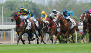 Berkeley Jockey Club