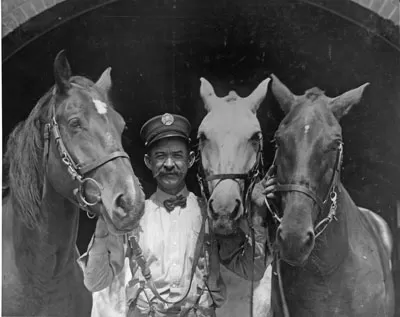Izzy Neumeyer, fireman at Company 25, Congress Heights fire station, with fire horses "Izzy", "Frank", and "Joe," c. 1914 ( Anthony J. Munz photograph collection, MU3.033)