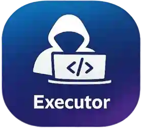 Executor