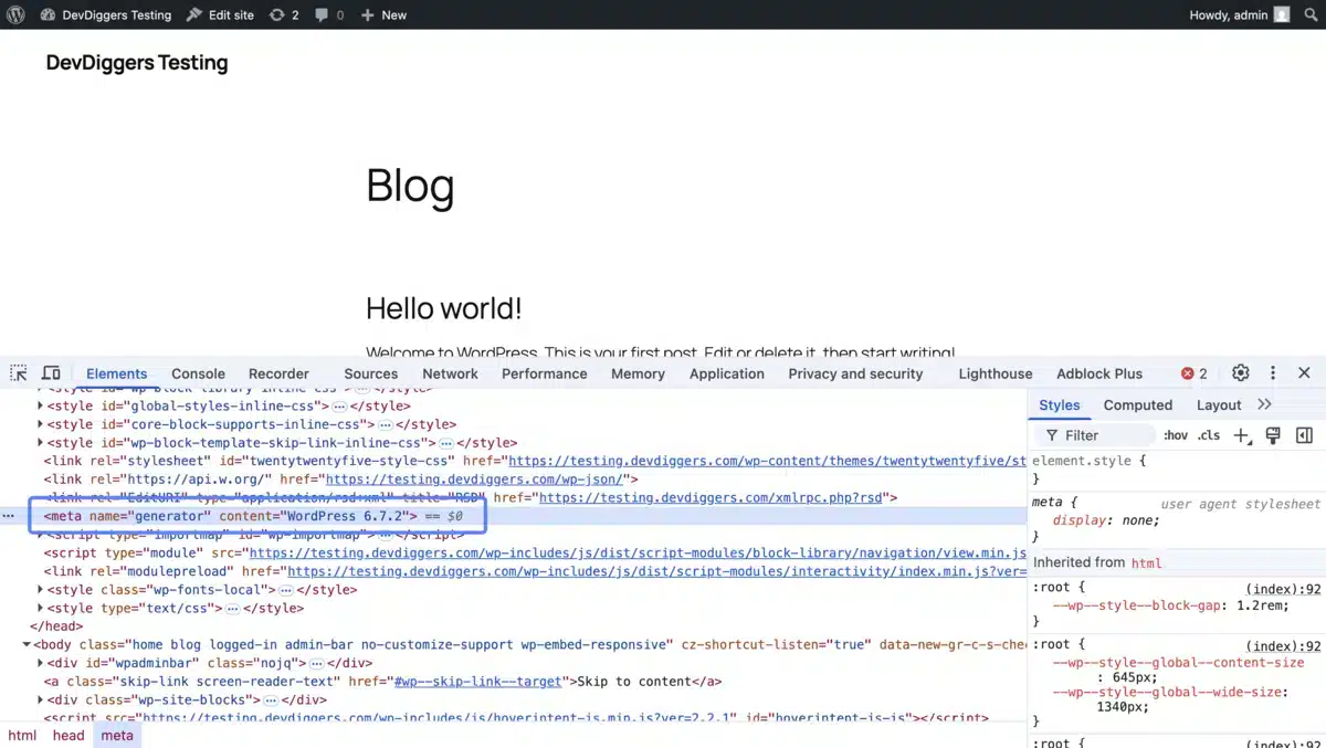 Hide WordPress Version