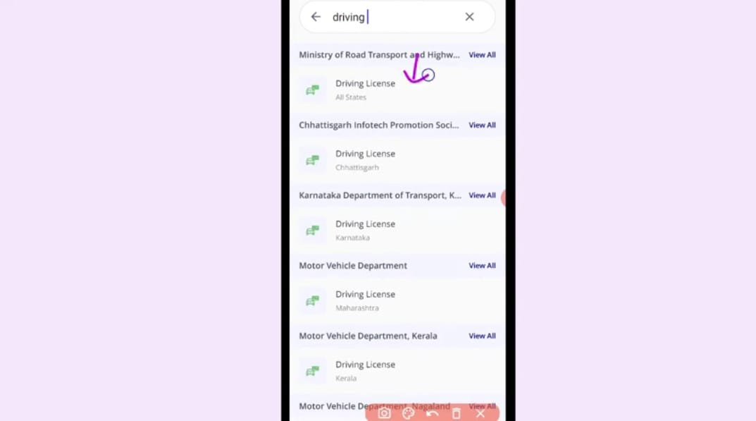 Driving Licence Search