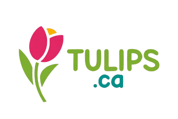 Tulips.ca