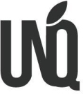 Unique Solutions India Company Logo