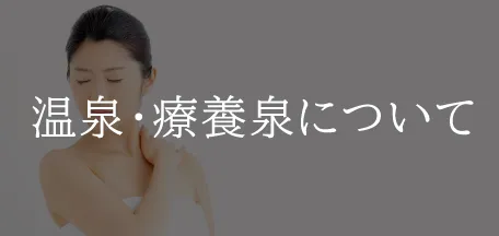 �������������ˤĤ���