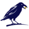 Cornix favicon