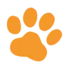 PitPat favicon