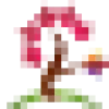 Red Maple favicon