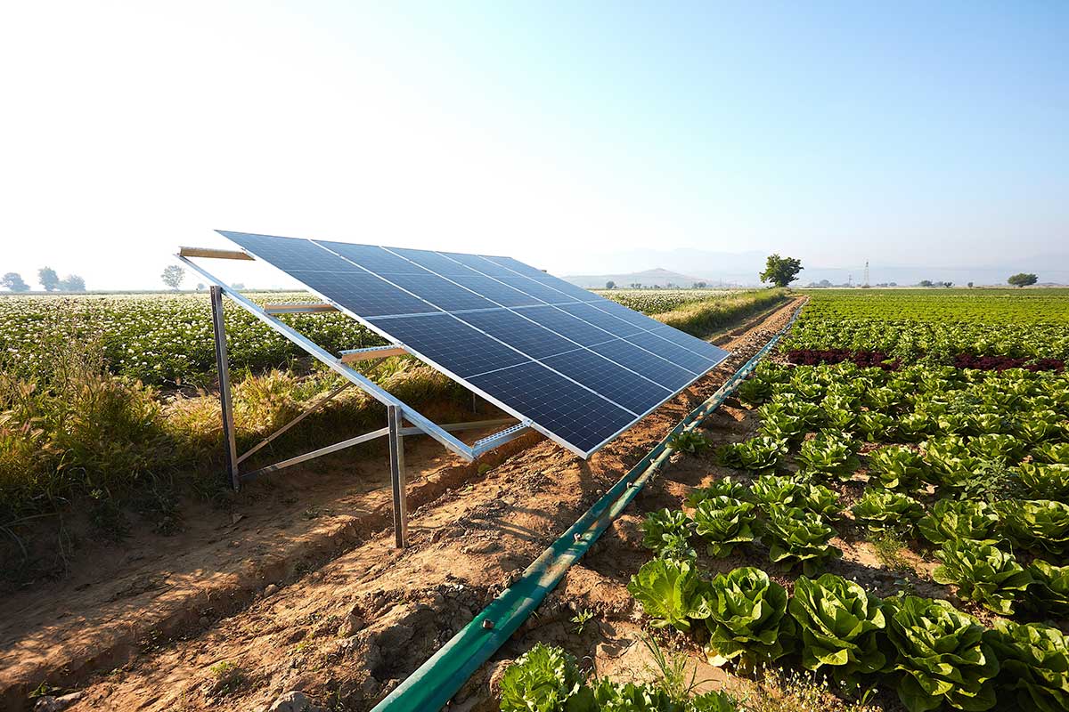 Solar-Panels-in-Agriculture-Ireland Solar Panels in Agriculture in Ireland