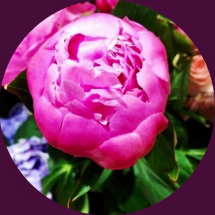 takeratta.eth Ethereum Name Service (ENS and .eth domain) PFP