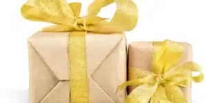 Chương trình VIP MMOO