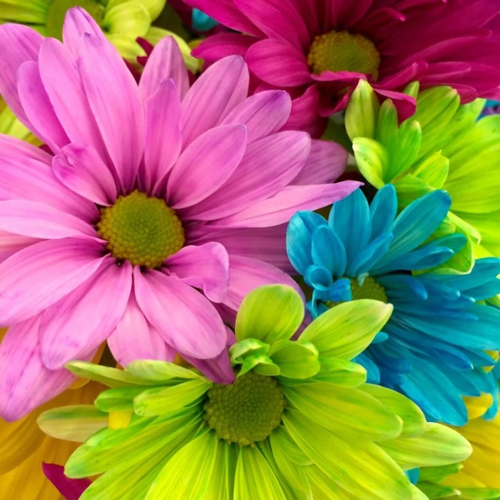 32562.eth Ethereum Name Service (ENS and .eth domain) PFP