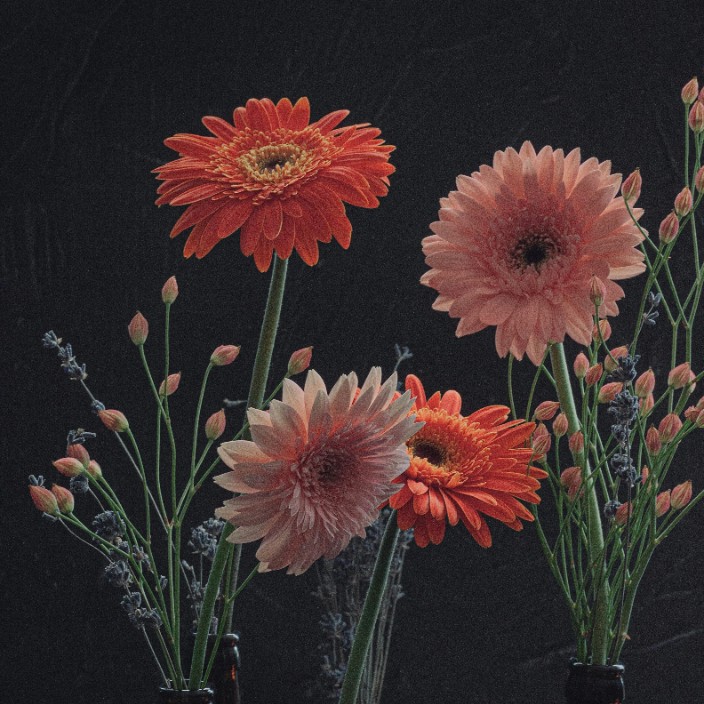 39834.eth Ethereum Name Service (ENS and .eth domain) PFP