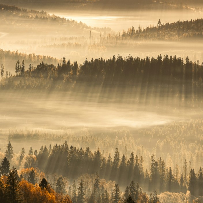 55092.eth Ethereum Name Service (ENS and .eth domain) PFP