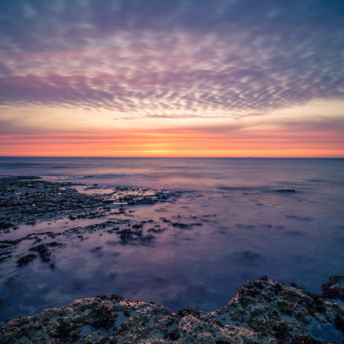 69857.eth Ethereum Name Service (ENS and .eth domain) PFP