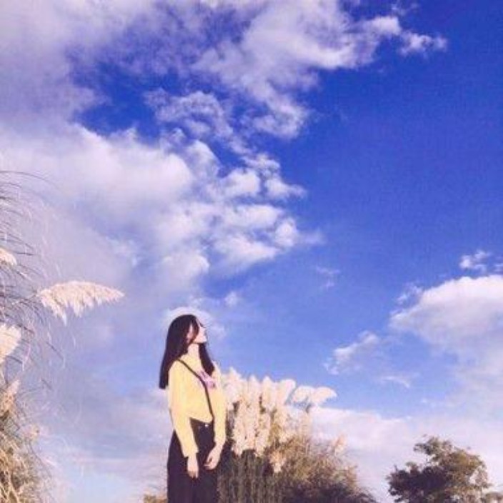 81012.eth Ethereum Name Service (ENS and .eth domain) PFP