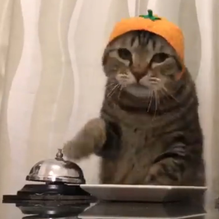 andyfi.eth Ethereum Name Service (ENS and .eth domain) PFP