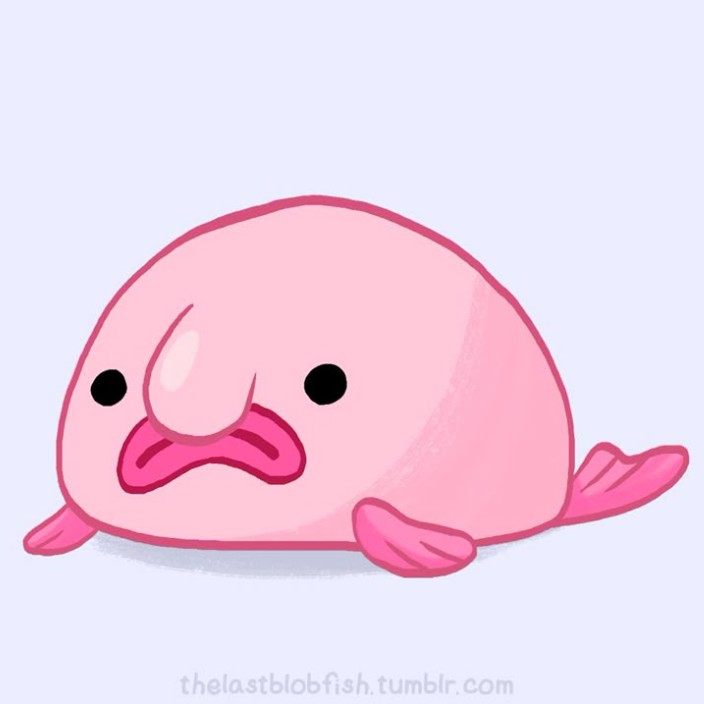 blobfish.eth Ethereum Name Service (ENS and .eth domain) PFP