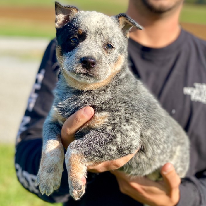 coinfcknmaker.eth Ethereum Name Service (ENS and .eth domain) PFP