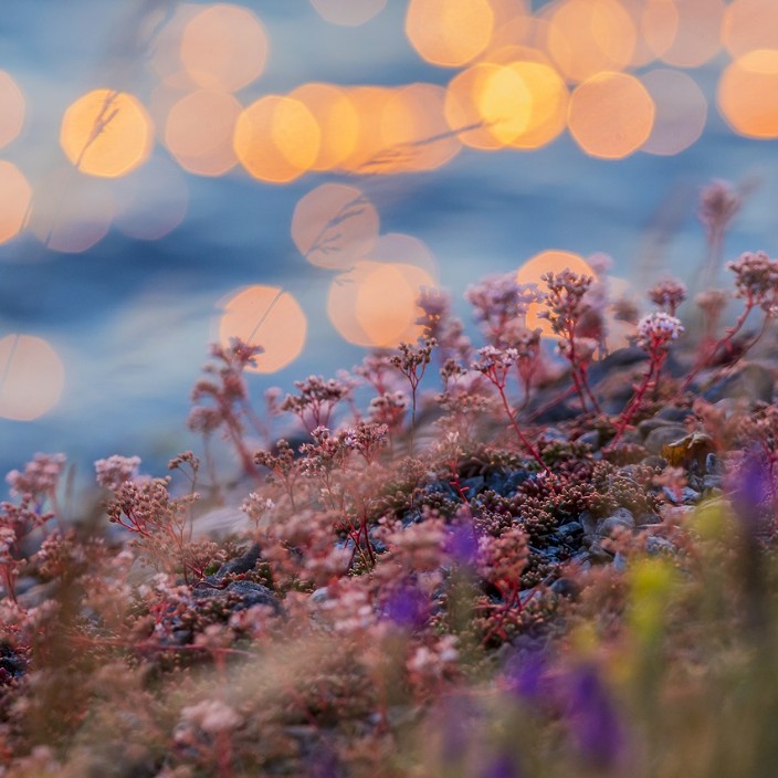 compunction.eth Ethereum Name Service (ENS and .eth domain) PFP