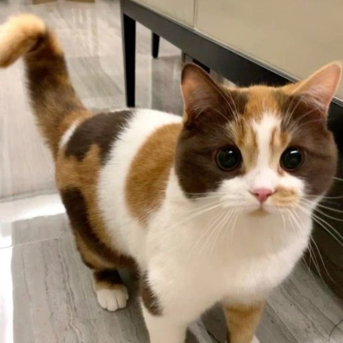 depthandbreadth.eth Ethereum Name Service (ENS and .eth domain) PFP