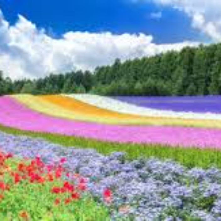 dilik.eth Ethereum Name Service (ENS and .eth domain) PFP