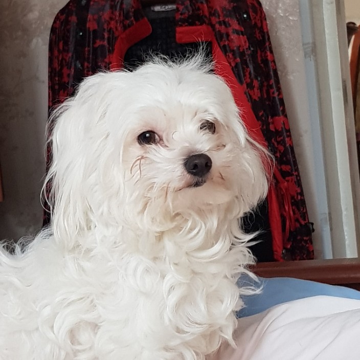 diogrante.eth Ethereum Name Service (ENS and .eth domain) PFP