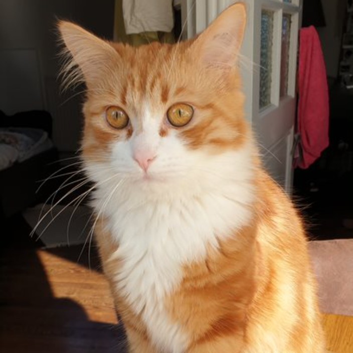 firefloflo.eth Ethereum Name Service (ENS and .eth domain) PFP