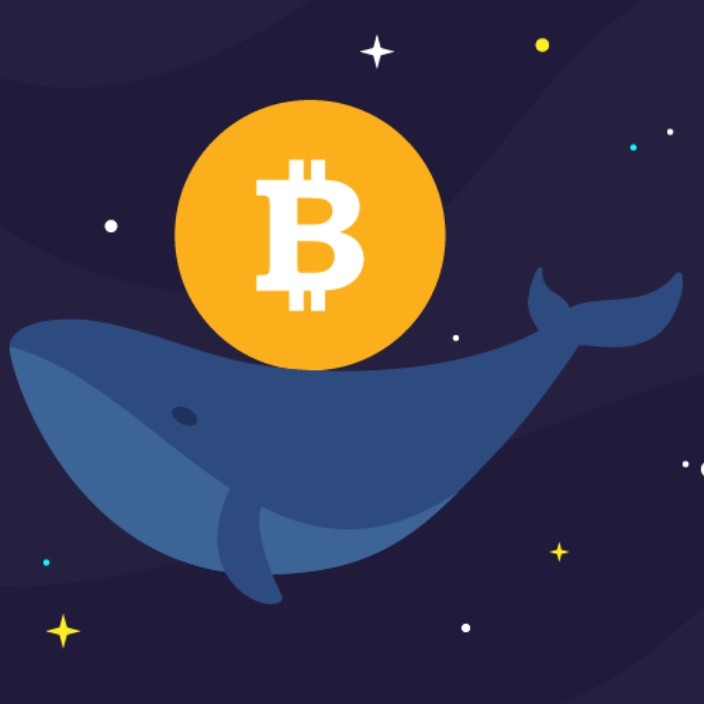 fishcrypto.eth Ethereum Name Service (ENS and .eth domain) PFP