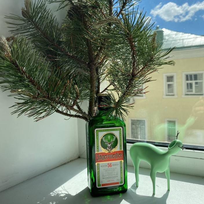 french7.eth Ethereum Name Service (ENS and .eth domain) PFP